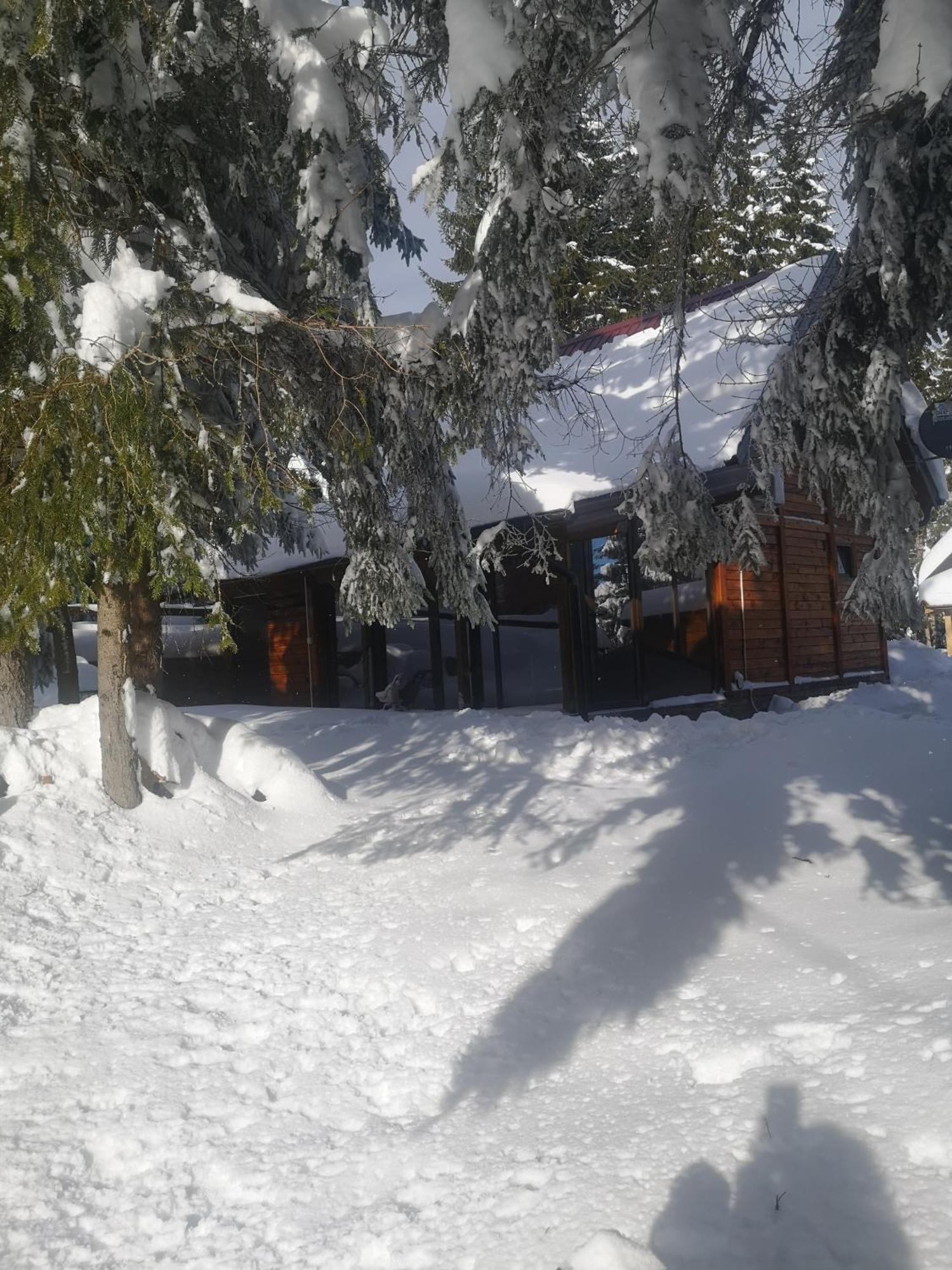 Brvnare Krstigora Vila Zaovine Quarto foto